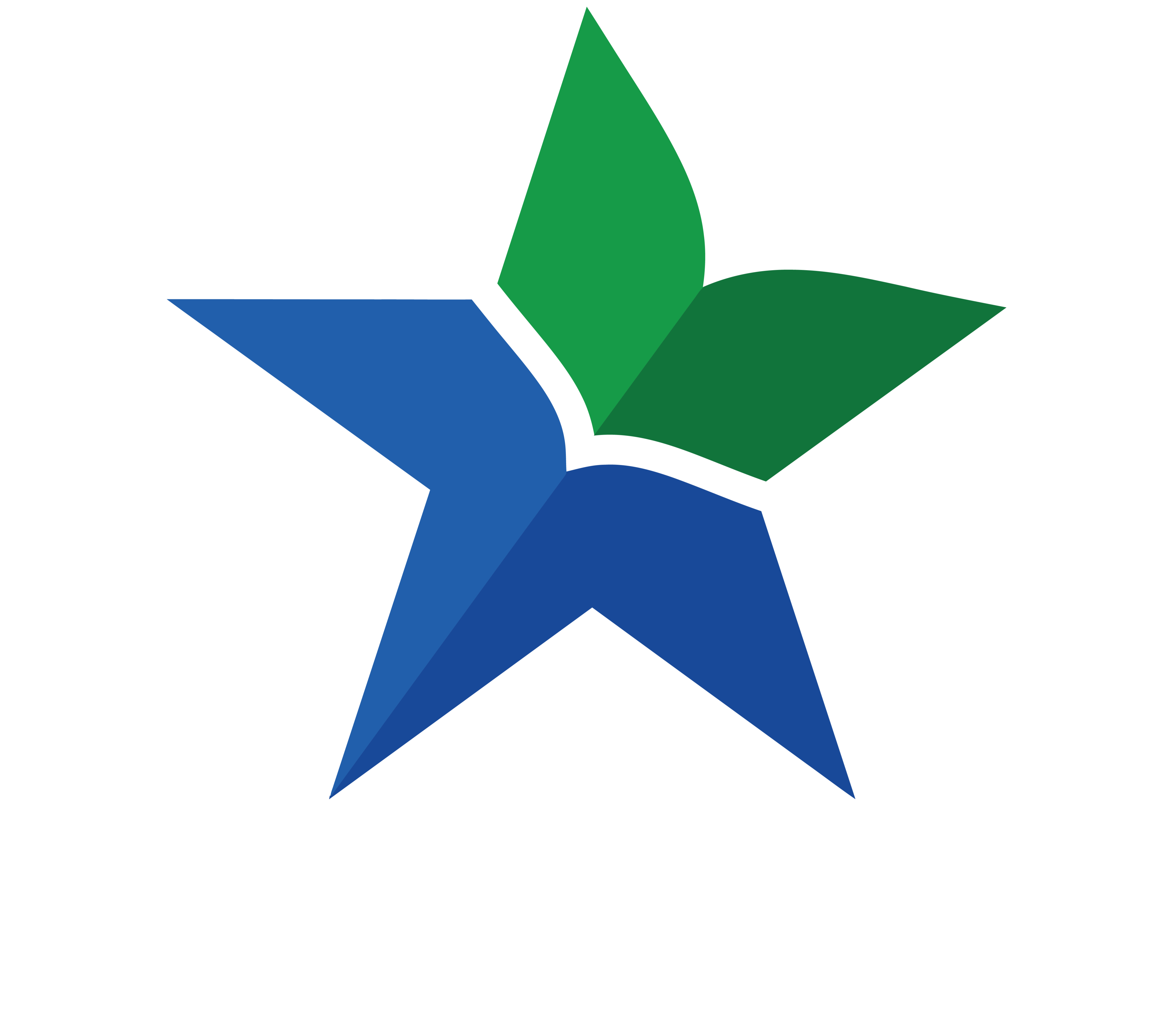 Perpusnas